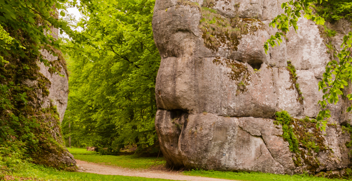 Ojcowski Park Narodowy — skały i dolina Prądnika